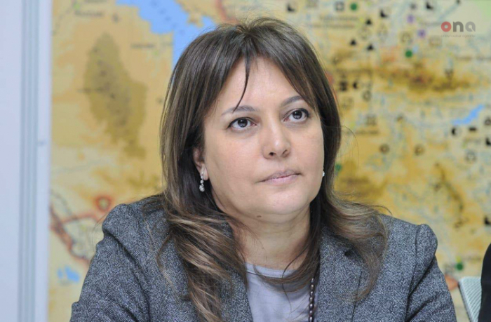 Azerbaijani president signs decree on appointment of new deputy minister of ecology, natural resources