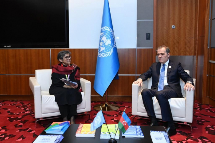 Azerbaijani FM talks to UN under-secretary-general on provocations of Armenia