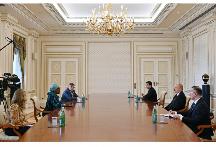  President Ilham Aliyev receives Executive Director of the Joint United Nations Programme on HIV/AIDS 