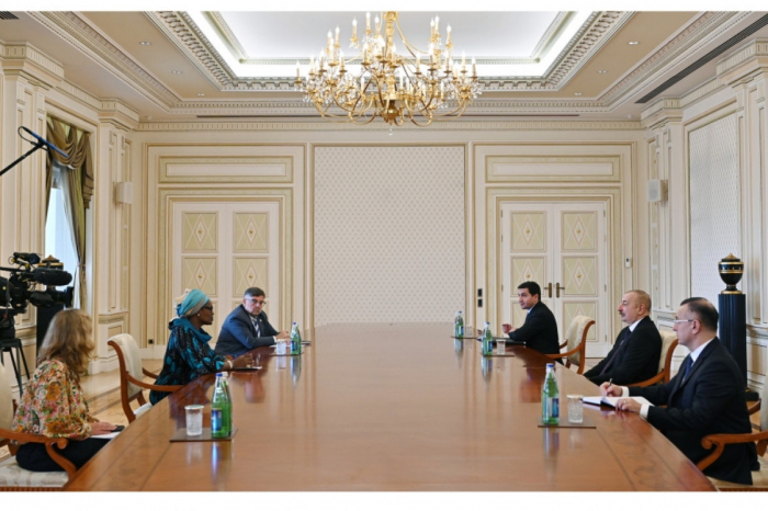  Presidente Ilham Aliyev recibe a la directora ejecutiva de ONUSIDA 