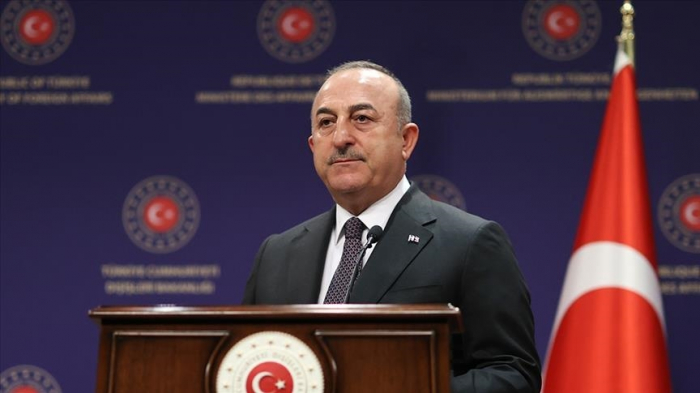 FM Cavusoglu: Turkic States show 