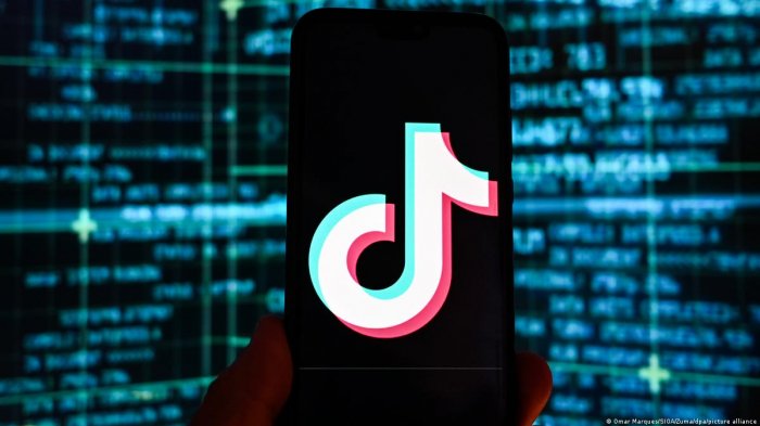    Daha bir ölkədə "TikTok" qadağan edildi   