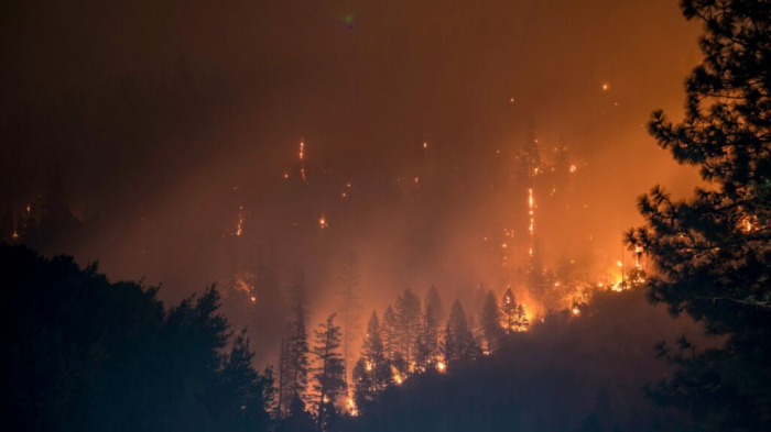   Hundreds evacuated as forest fire rages in east Spain -   NO COMMENT    