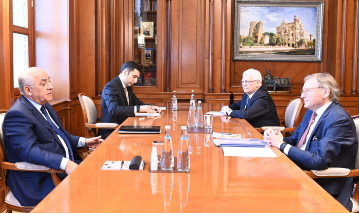   Azerbaijani PM holds meeting with Russian official  