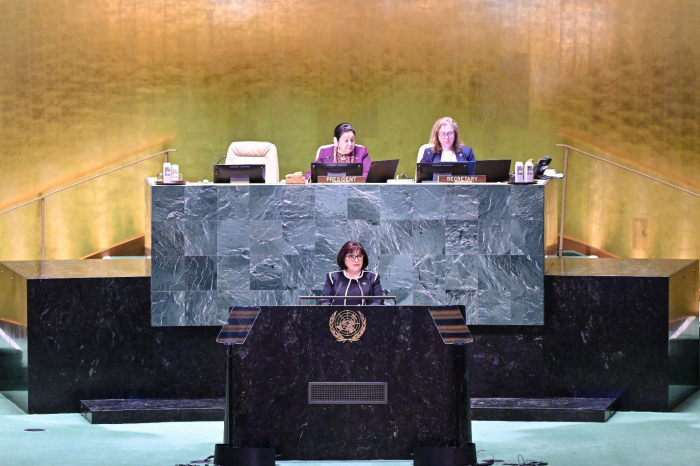  Azerbaijani parliament speaker takes part in UN High-Level Meeting 