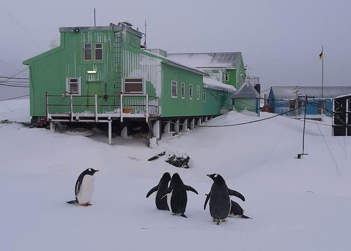  Böyük Britaniya Antarktidada  pinqvin sayan işçi axtarır   