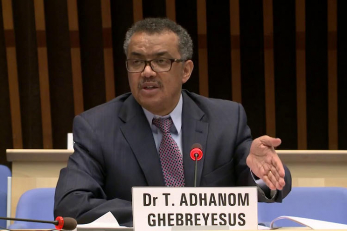 Investing in health care has effect on sustainable development – WHO director-general