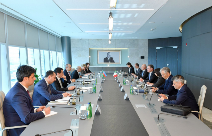 Azerbaijan, Italy discuss mutual investments 