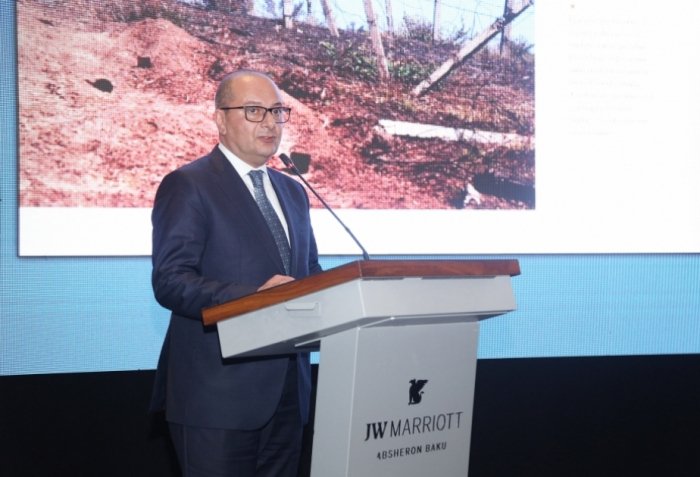    Vüqar Süleymanov:    "85 mindən çox mina və sursat zərərsizləşdirilib"  
