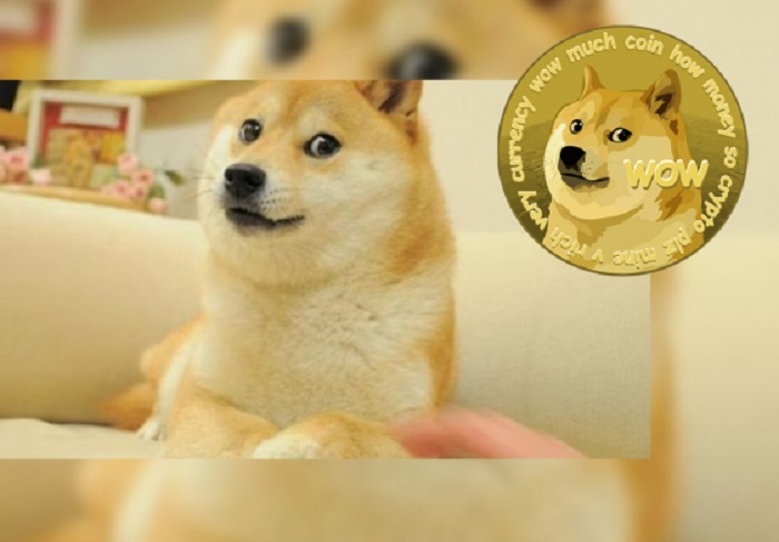       "Twitter"in yeni loqosu "Dogecoin"in hekayəsi:    "Bir zarafatdan yaranıb"   