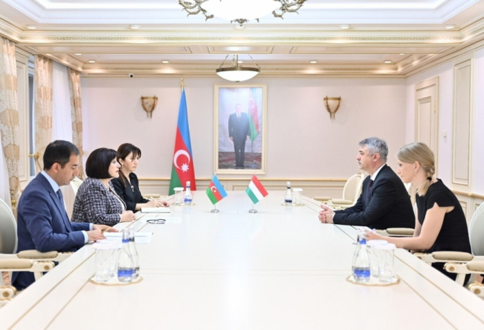   Parlamentssprecherin von Aserbaidschan informiert den ungarischen Botschafter über die regionale Situation  