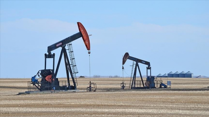 Oil steady as market awaits key US inflation data