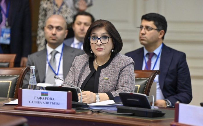 Sahibə Qafarova MDB PA-nın Şura iclasında iştirak edib