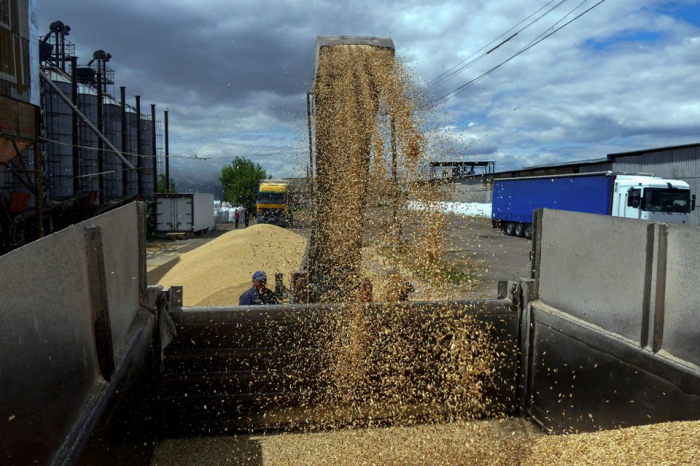 EU warns against unilateral steps after Poland, Hungary ban Ukrainian grain