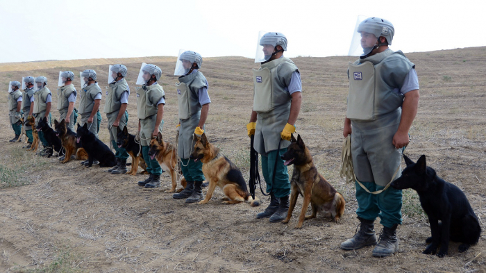  Neueste Situation bezüglich der Minenräumung in den befreiten Gebieten Aserbaidschans wurde bekannt gegeben 