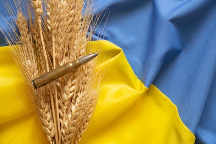  Slowakei stoppt auch Getreideimporte aus der Ukraine 