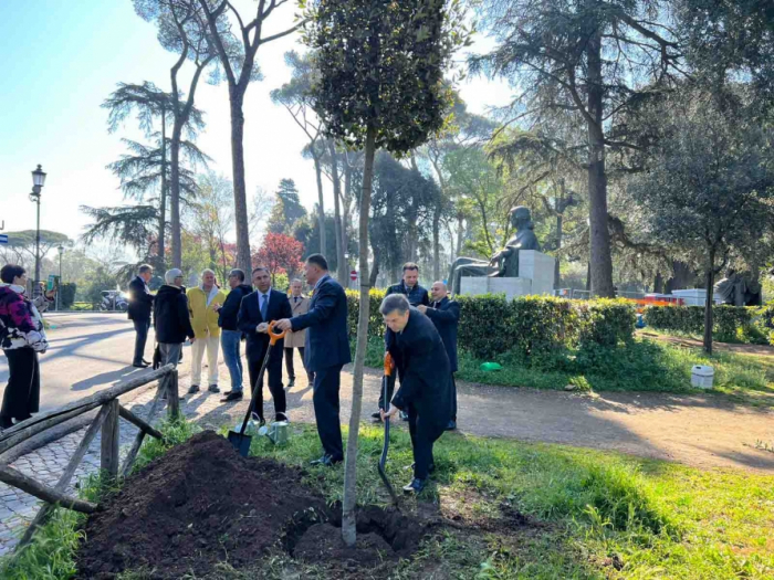 Une campagne de plantation d’arbres organisée à Rome à l’occasion du 100e anniversaire de Heydar Aliyev