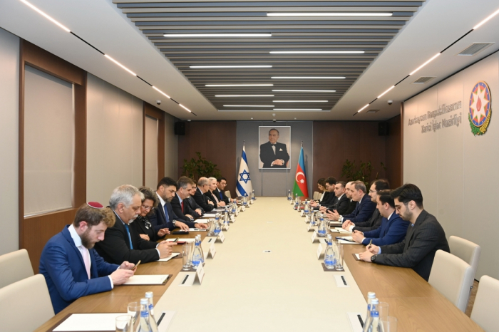   Azerbaijan, Israel discuss development of bilateral relations  