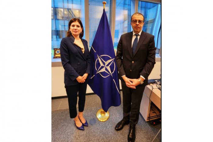    Azərbaycan-NATO tərəfdaşlığı müzakirə edilib   