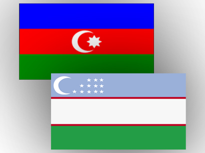 Azerbaijani delegation to observe referendum on draft constitutional law in Uzbekistan