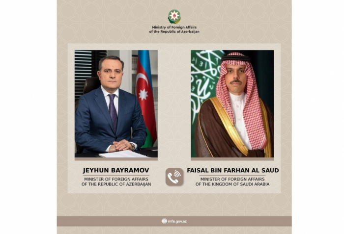 Azerbaijan, Saudi Arabia mull various aspects of bilateral cooperation agenda 