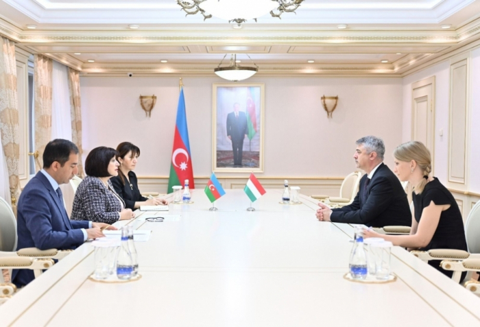 Azerbaijan parliament speaker briefs Hungarian ambassador on regional situation 