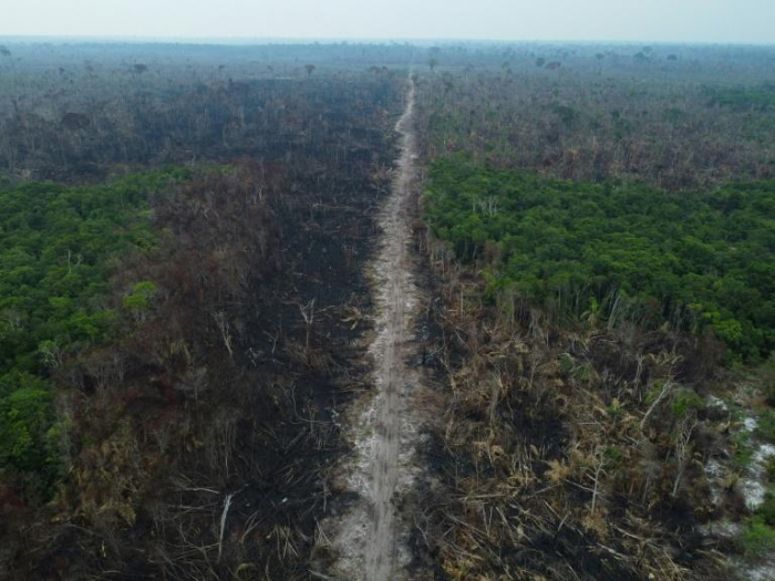 Le Parlement européen adopte une loi contre la déforestation