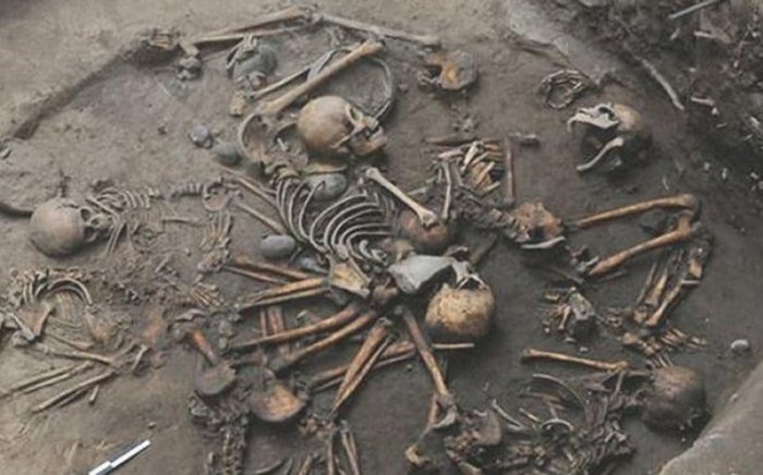  Ağdamda insan skeletinə bənzər sümüklər aşkarlandı:  Prokurorlar araşdırmaya başladı   