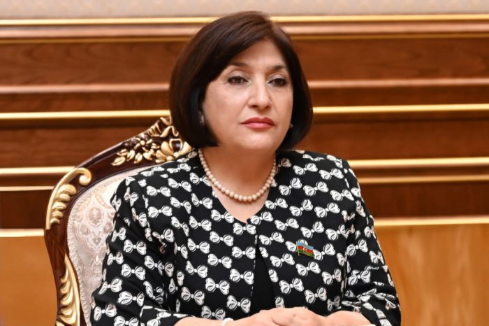   Spiker:  "Bu cür bəyanatlar Rusiyanın vasitəçilik fəaliyyətinə kölgə salır" 