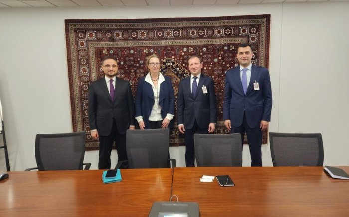 Dünya Bankı qrupu Azərbaycanda xalçaçılığın inkişafına vəsait ayıra bilər  
