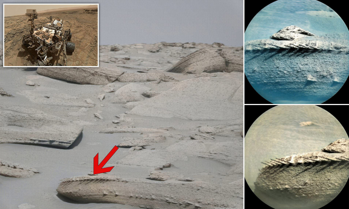    Marsda aşkarlanan sünbülvari struktur sümük qalığıdır?    - FOTOLAR      