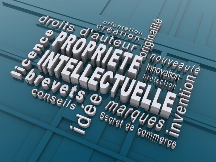  La Journée mondiale de la propriété intellectuelle, le 26 avril 