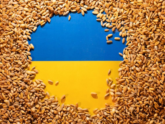 Kiev demande la réouverture du commerce de céréales via la Pologne