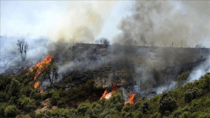 Incendie dans les Pyrénées-Orientales : plus de 1 000 hectares ravagés en France