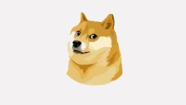 "Twitter"in loqosu "Dogecoin"ə dəyişdirildi