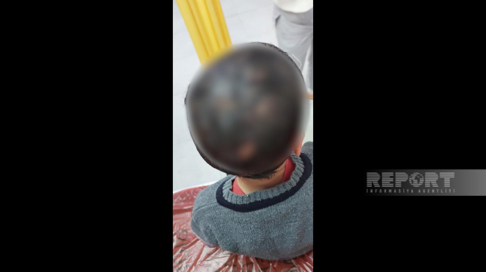    Masazırda itlər azyaşlı uşaqlara hücum etdi,    vəziyyətləri ağırdır     