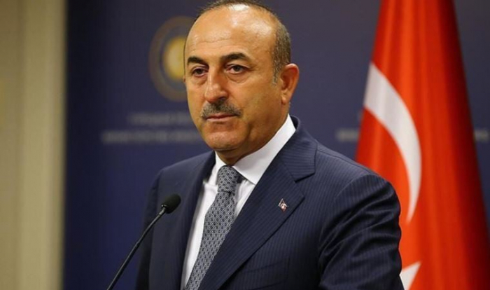   Türkischer Außenminister warnte Armenien:  „Die Errichtung des Nemesis-Denkmals ist inakzeptabel" 