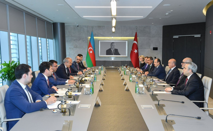 Azerbaijan, Türkiye boosting cooperation in field of pharmaceuticals - minister 