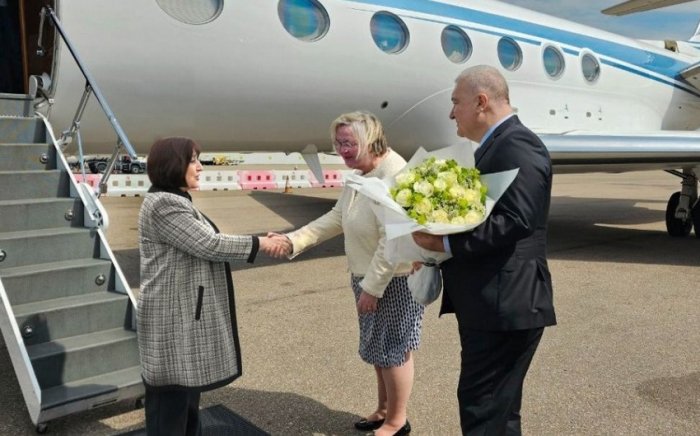 Milli Məclisin sədri Böyük Britaniyaya gedib  
