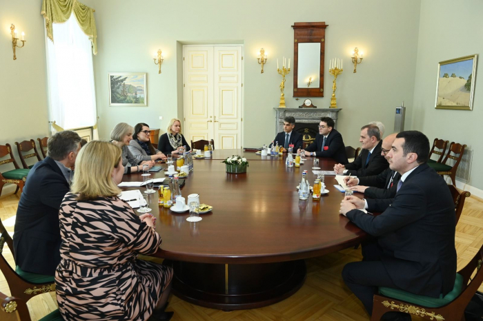 Azerbaijani FM holds meeting with President of Lithuania