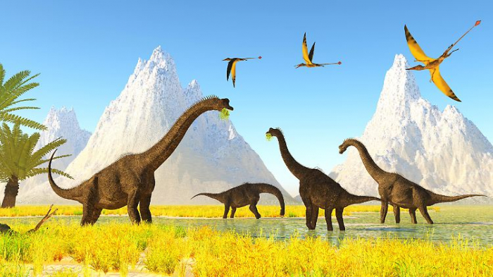   Dinosaurier wurden gleich mehrfach riesig  