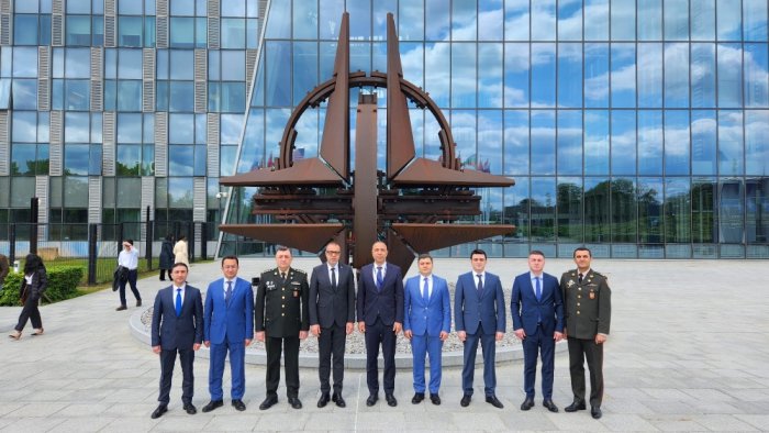 Azərbaycanla NATO arasında enerji təhlükəsizliyi üzrə dialoq keçirilib  
