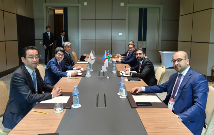 SOCAR, JBIC to cooperate in field of decarbonization