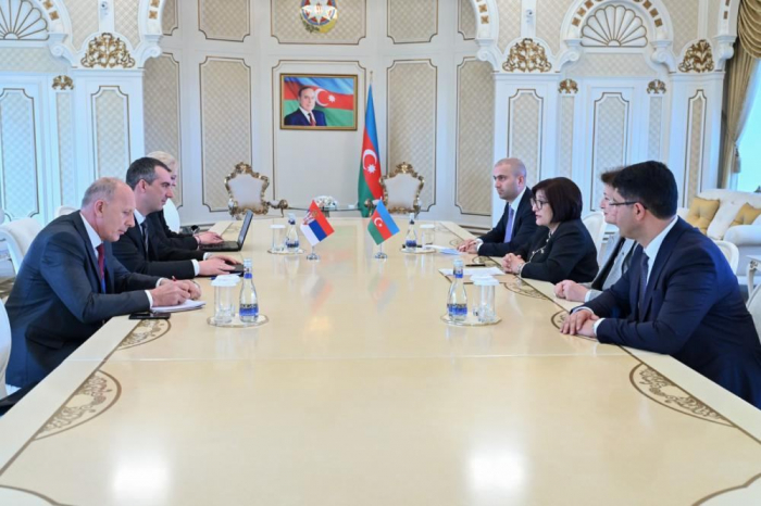 Azerbaijani parliament speaker meets Chairman of National Assembly of Serbia 