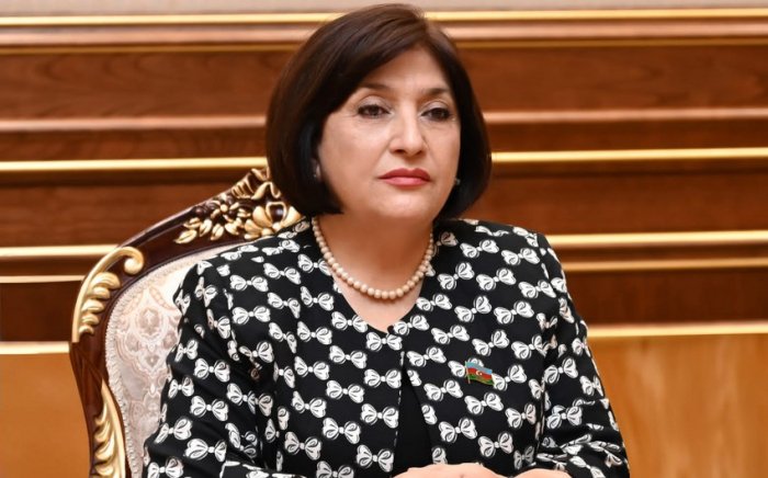       MM sədri:    "Azərbaycan və Misir dost ölkələrdir"  
   