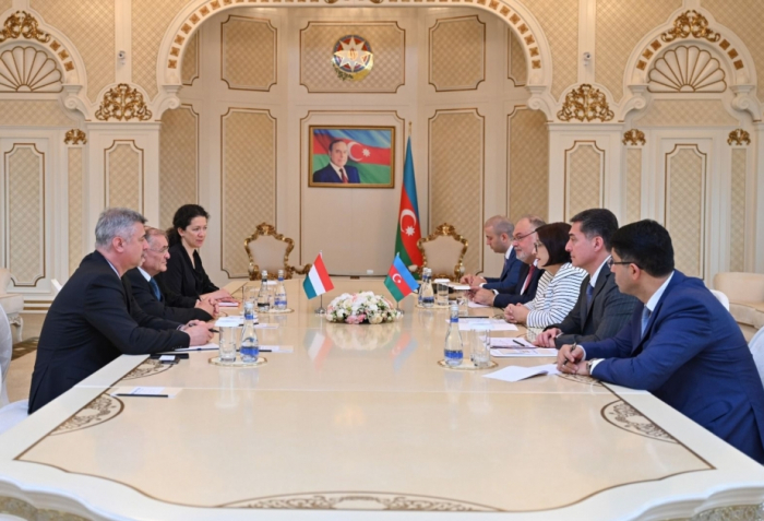   Aserbaidschan und Ungarn erwägen Aussichten für eine Ausweitung der Zusammenarbeit  