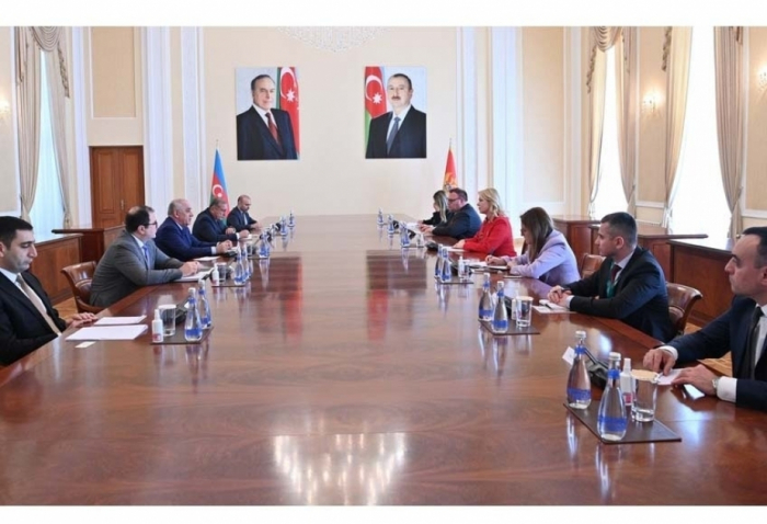   Aserbaidschanischer Premierminister trifft sich mit der Präsidentin des montenegrinischen Parlaments  