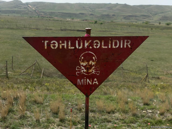   „Seit November 2020 wurden 88.260 Minen entdeckt und neutralisiert“  