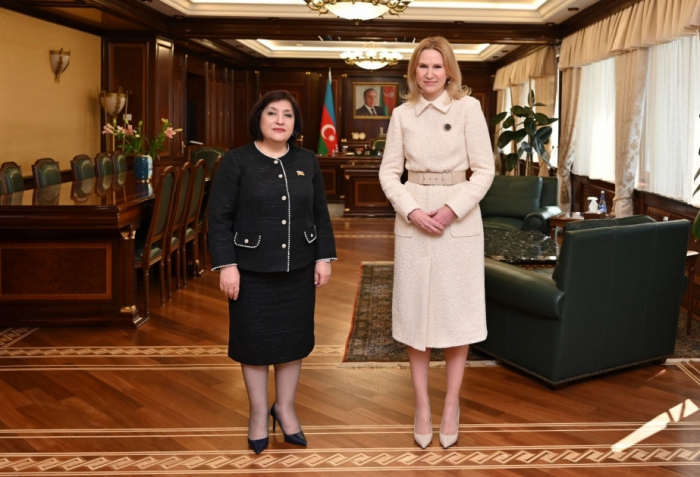 Azerbaijan and Ukraine discuss inter-parliamentary cooperation