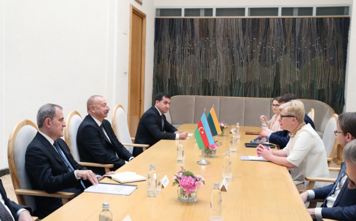 President Ilham Aliyev meets with Lithuanian PM 